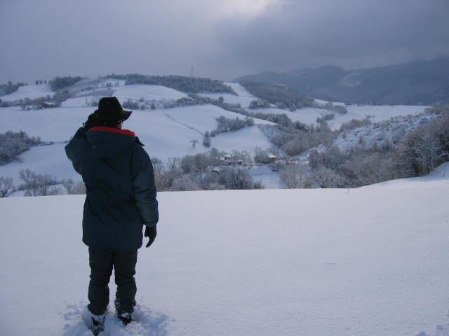 sneeuwlandschap